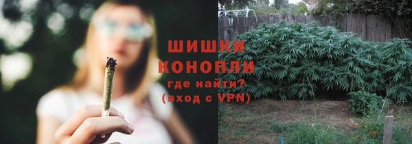 хмурый Гусев