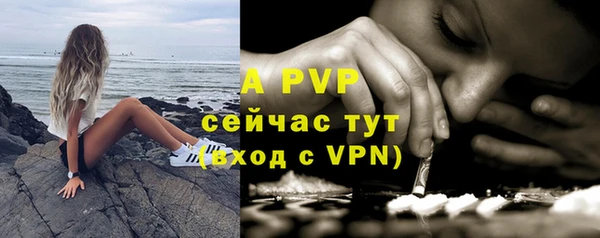 хмурый Гусев