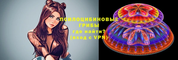 хмурый Гусев