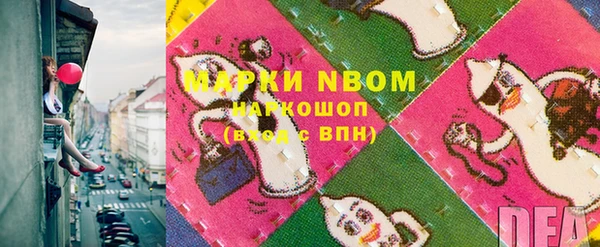 хмурый Гусев