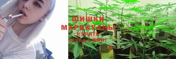 сатива Гусиноозёрск