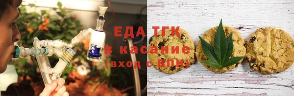 хмурый Гусев