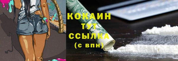хмурый Гусев