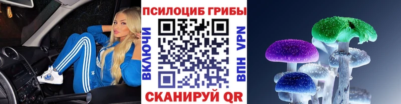 Галлюциногенные грибы Psilocybine cubensis наркотики Новочебоксарск